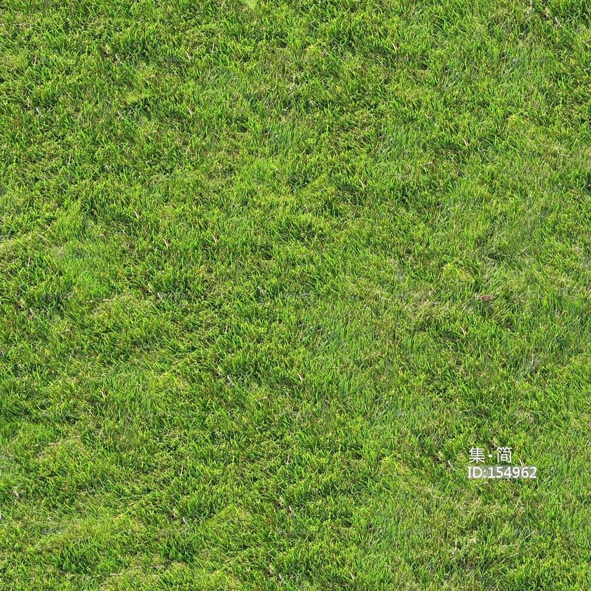 常用自然草地贴图