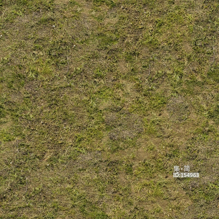 高清草地苔藓草坪泥土沙土泥巴土壤野草自然草皮贴图