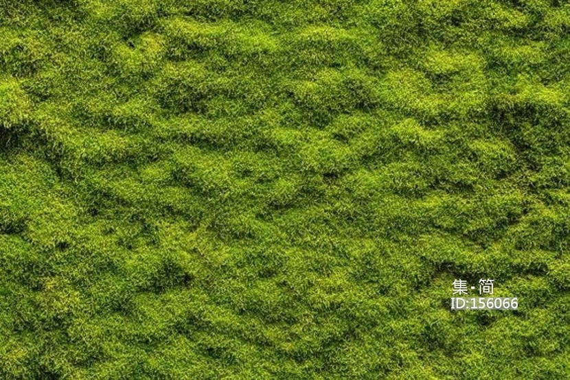 草地草皮苔藓材质贴图