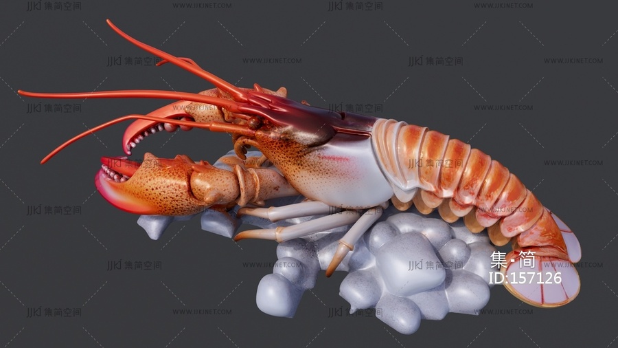 冰冻波士顿大虾