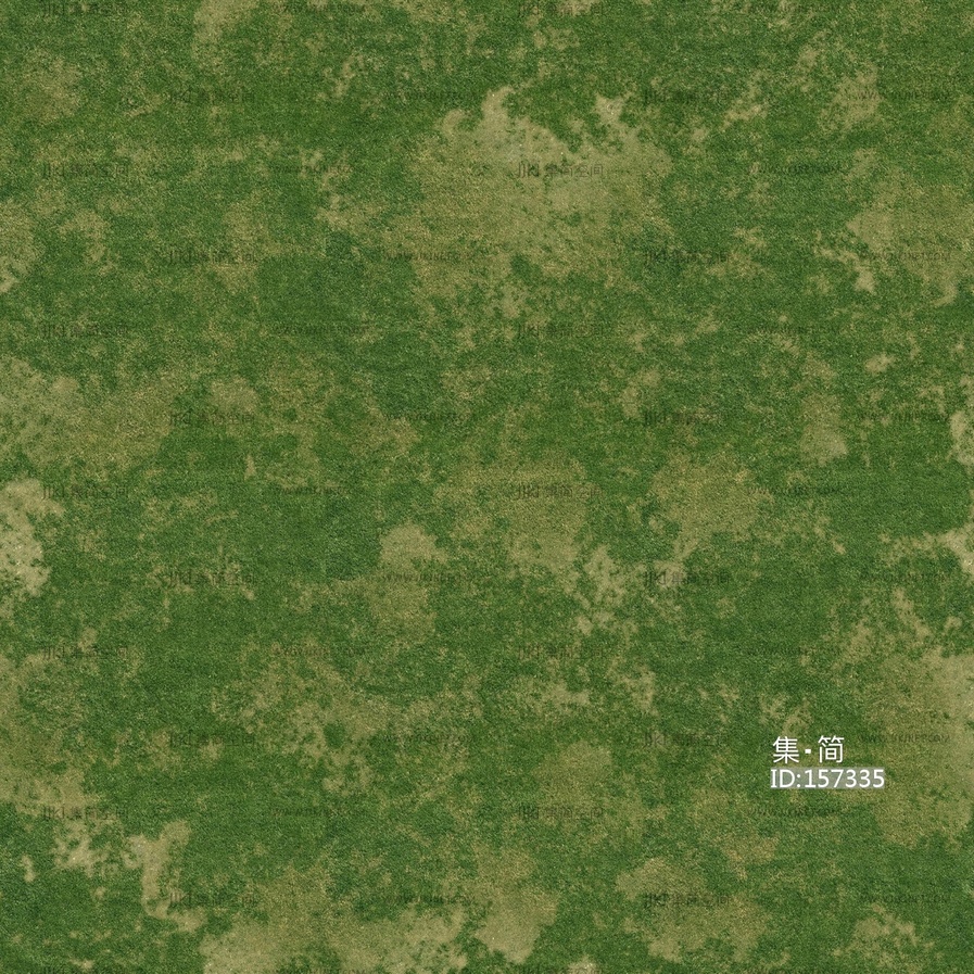 无缝草地草坪材质贴图 (1)