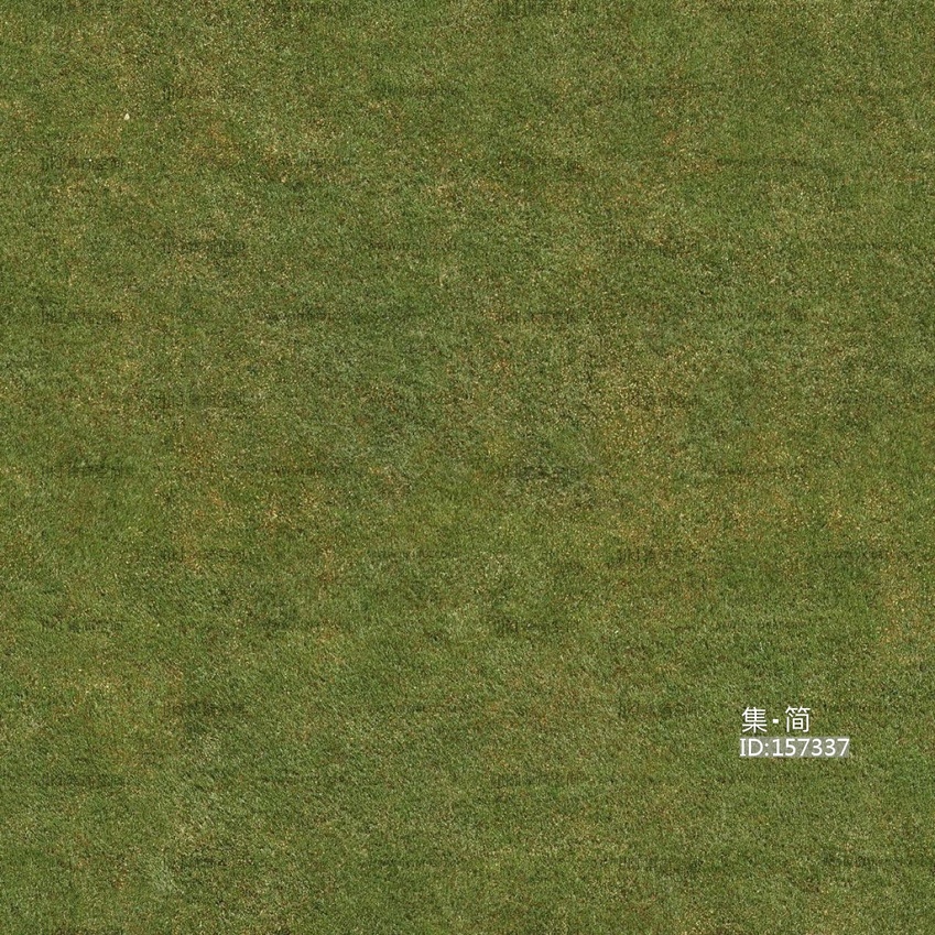 无缝草地草坪材质贴图 (3)