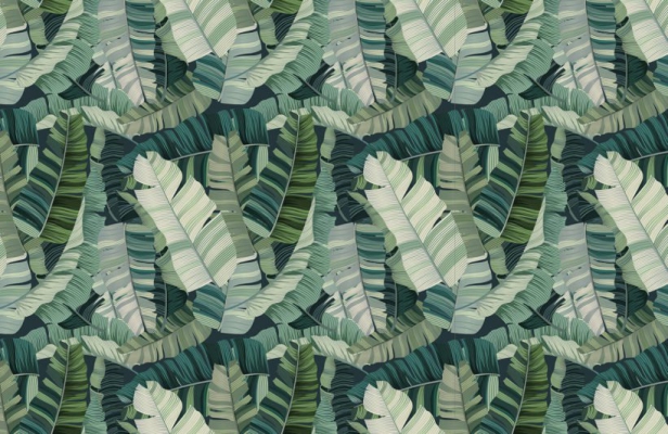 北欧现代大叶子植物壁纸装饰画 (3)