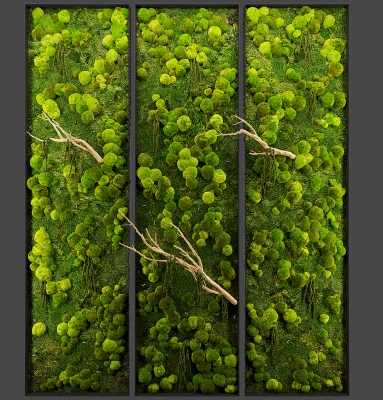 01绿植墙,苔藓,植物墙,