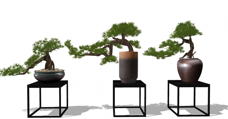 12新中式实木花架摆台盆景迎客松松树植物花盆