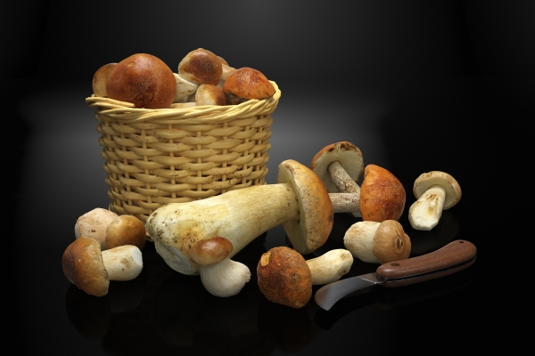 藤编框食物蘑菇