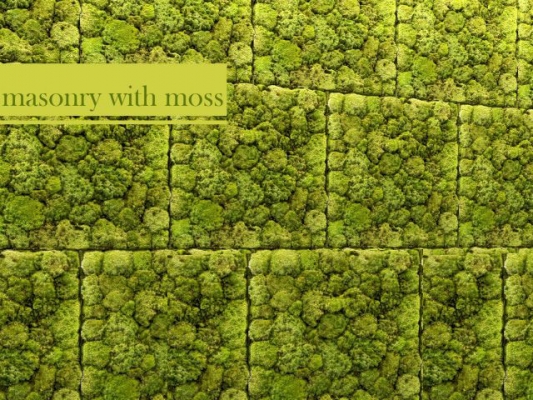 现代苔藓植物墙绿植墙3