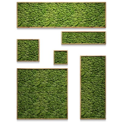 16苔藓装饰画绿植墙