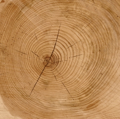 原木木纹，木头材质