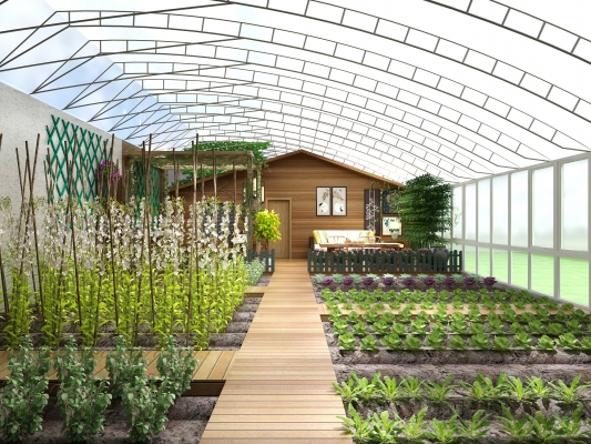 新中式温室大棚，蔬菜大棚菜地菜园子