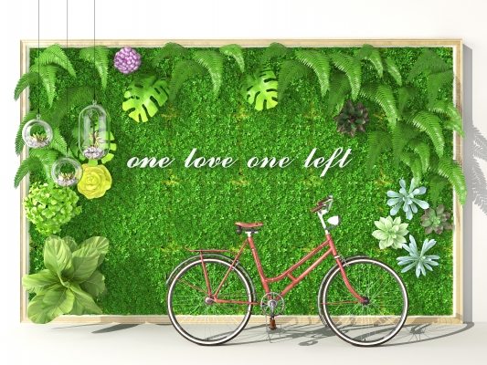  绿植墙，植物墙， 