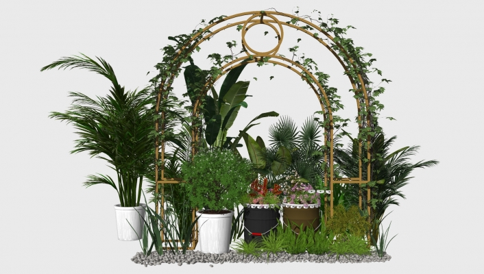  绿植盆栽组合 进行花环拱架 绿植盆栽 装饰植物