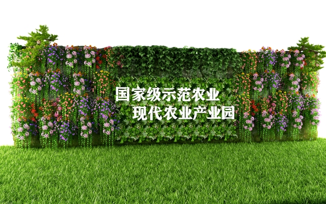  植物墙,绿植背景墙 