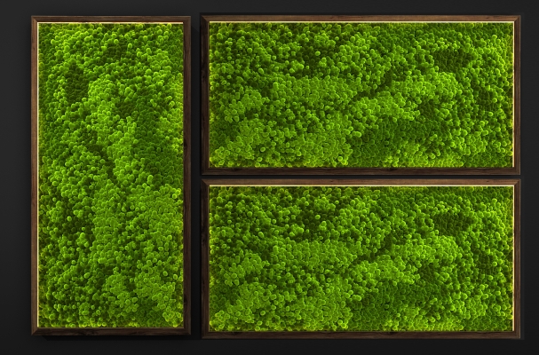  现代植物墙,绿植背景墙 