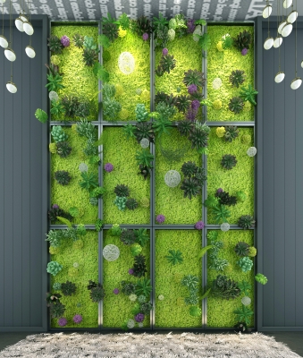  植物墙,绿植背景墙，花墙