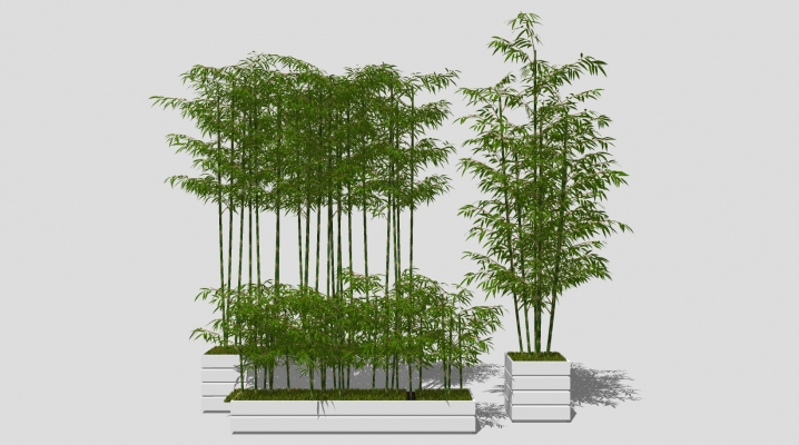  现代，新中式竹子，花池