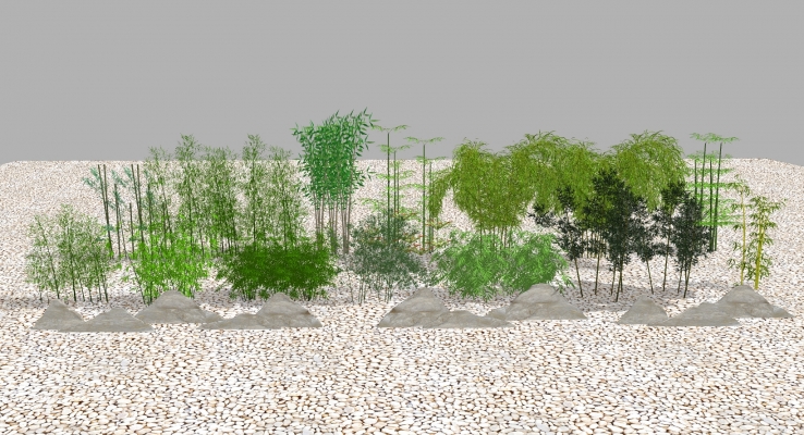  新中式景观植物，竹子，竹林