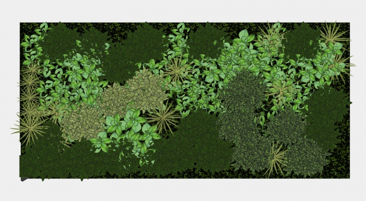  植物 装饰植物 绿植墙组合 