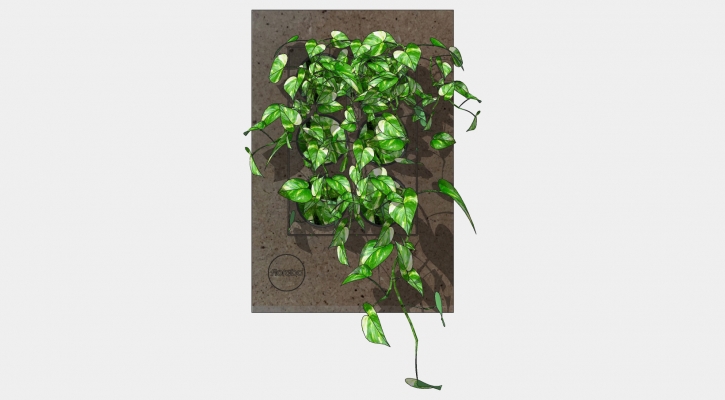  简约装饰植物绿植墙组合 