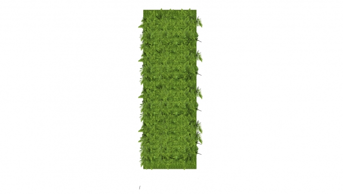 装饰植物 绿植墙组合 