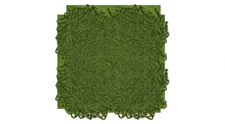  装饰植物 绿植墙组合  