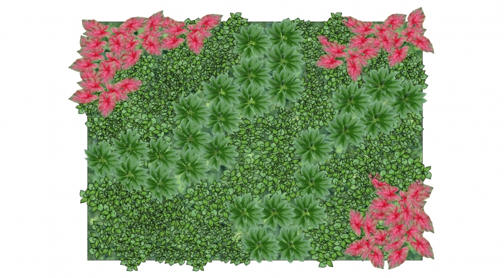 装饰植物 绿植墙组合
