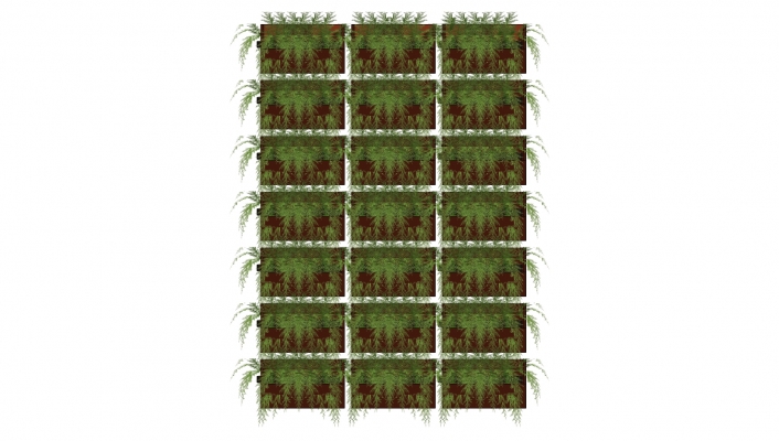  装饰植物 绿植墙 原木架子 组合 