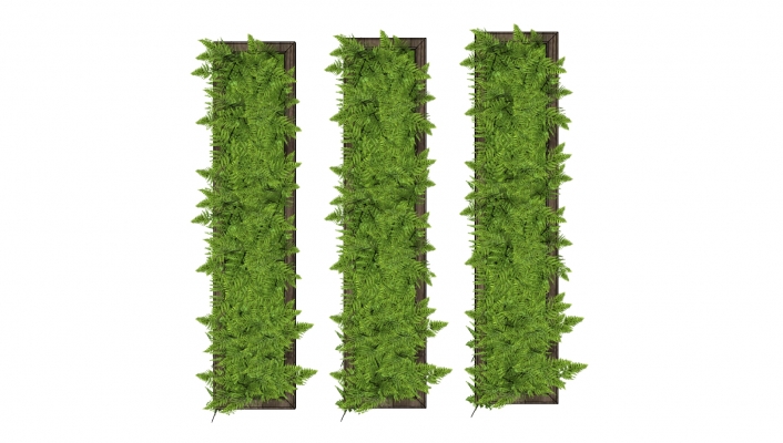   装饰植物 绿植墙 组合   