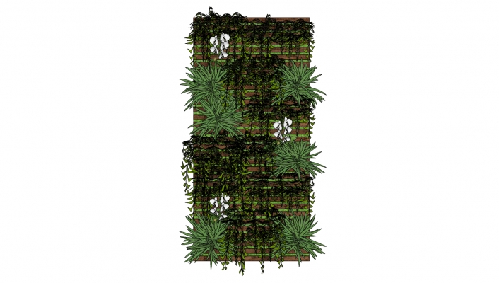  绿植墙  木质植物架子组合