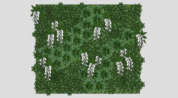  装饰植物 绿植墙 组合   
