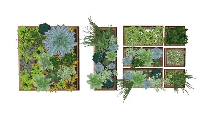  植物 装饰植物 绿植墙，挂饰