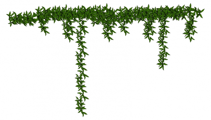  藤蔓 植物墙 装饰绿植