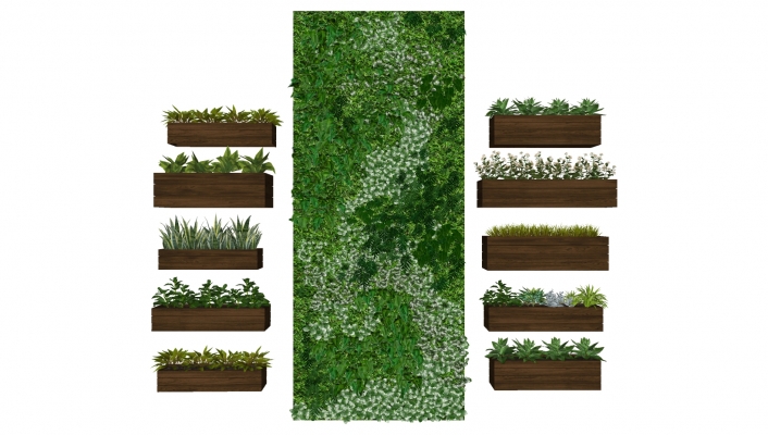  植物绿植墙，花槽