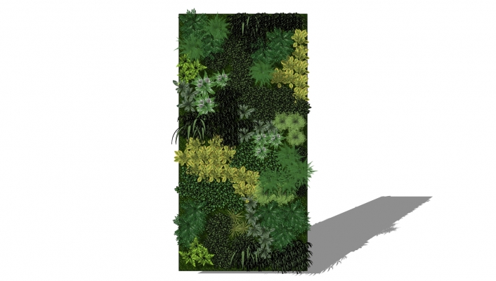  绿植墙 装饰植物 景观植物 