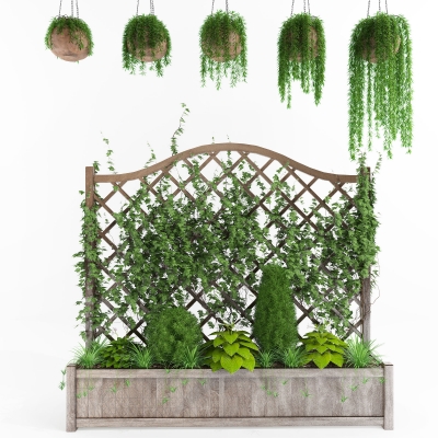  植物墙，花槽，吊篮，藤蔓植物