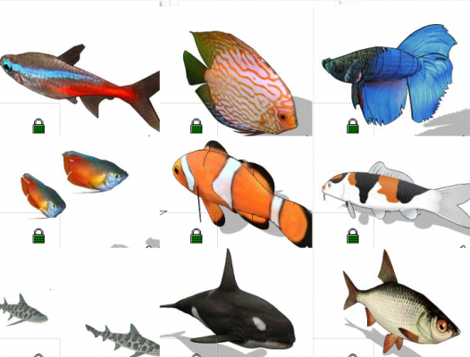  海洋动物热带鱼 小丑鱼动物模型