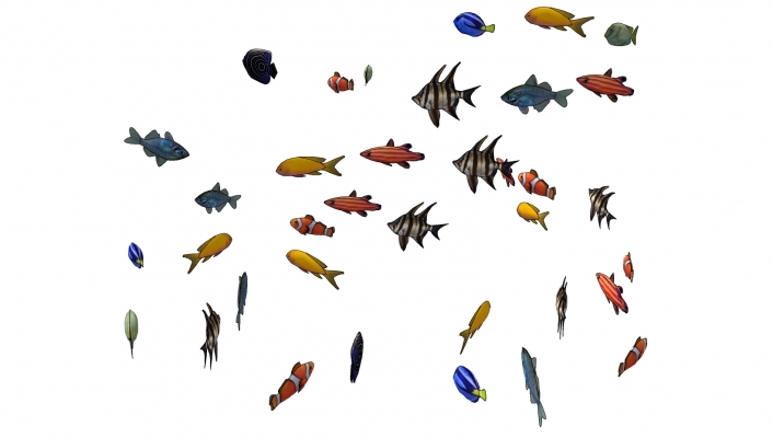  热带鱼 小丑鱼 组合动物模型