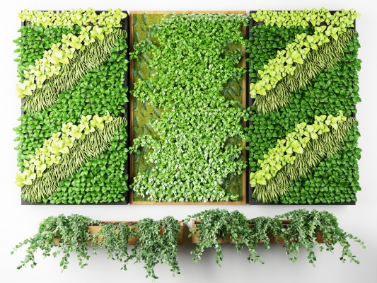  绿植墙，苔藓墙面，花槽，藤蔓植物