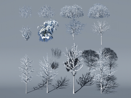  现代树，雪景冬季植物树