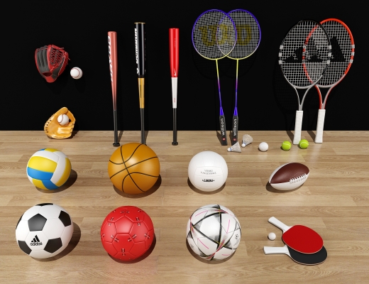  ，网球，羽毛球拍，足球篮球，乒乓球，棒球手套， 