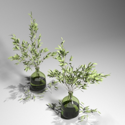  现代植物插花花瓶摆件，装饰植物 