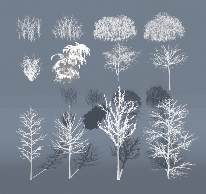 现代树，雪景冬季植物树