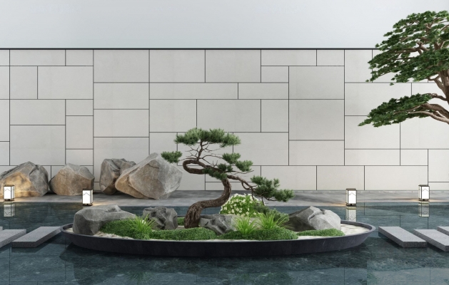 新中式庭院松树石头，景观