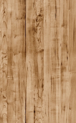原生态粗糙原木，做旧老木头木纹 (1)