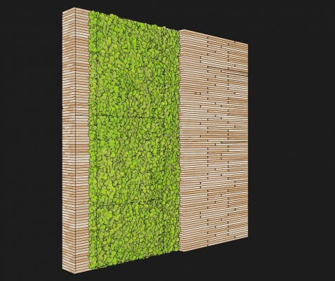 现代苔藓植物，绿植墙