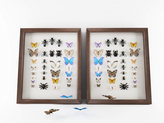 现代蝴蝶昆虫标本挂件
