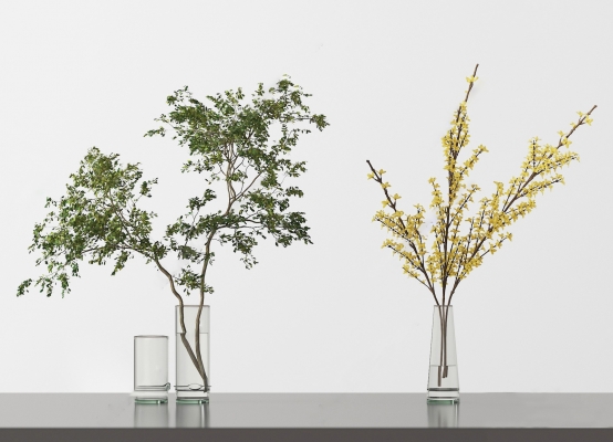 26现代水生植物玻璃瓶植物vr