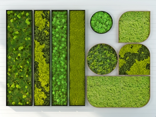 现代苔藓植物墙，绿植墙