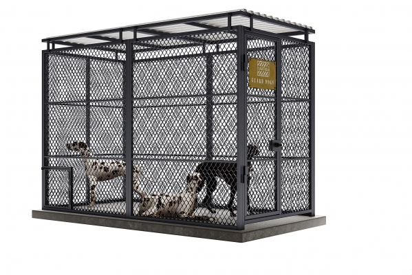 现代动物笼子,狗,铁笼子