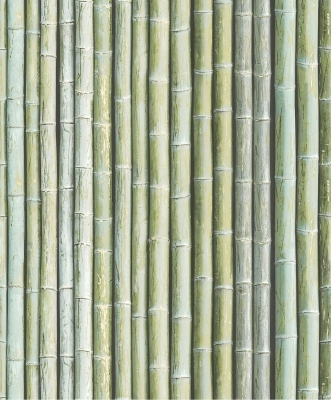 现代竹竿壁纸壁布 (3)